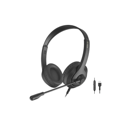 FH100U Stereo Headset